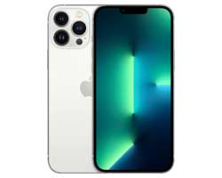 apple iphone 13 pro max service in chennai,