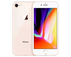apple iphone 8 service in chennai,